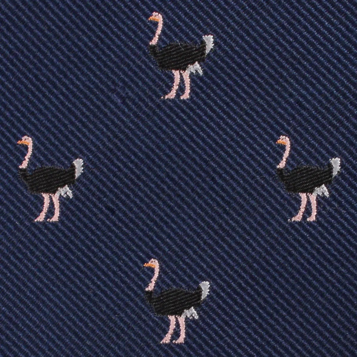 African Ostrich Pocket Square