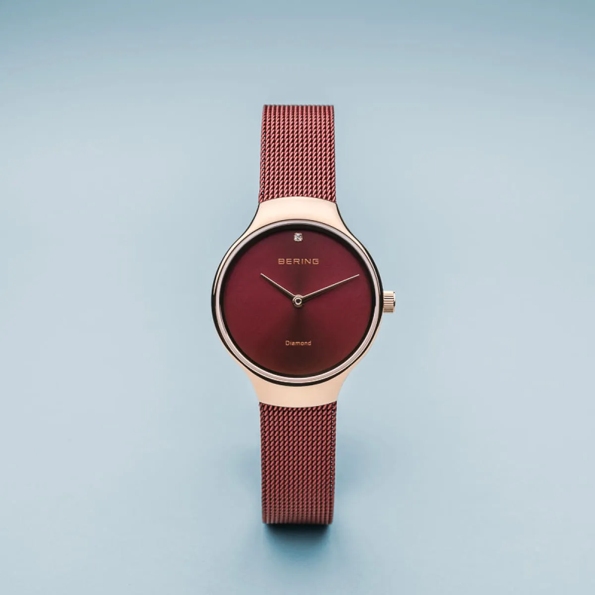BER Watch Charity Ladies
